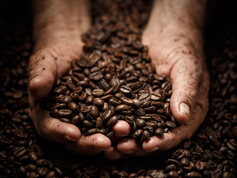 Fairtrade Fortnight Coffee Beans